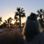 alles-aus-prinzip-blog