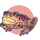 toadsandsnails avatar