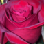 majormusiclover-blog