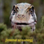 ragingvulvasaur