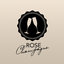 rose-champagnex