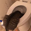 putareposada