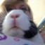 k-bun