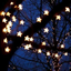 pretty-blue-star