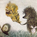elegant-hedgehog avatar