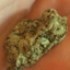 stonerlife4200-blog