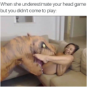 justlovegirlswithdicks2:Shary Srooms