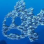 vindictivesardine