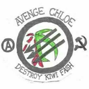 anarchalatina-defense-forces-de avatar