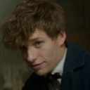 Newt Scamander Imagines