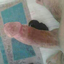 gokhan8033