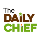 thedailychief-blog avatar