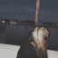 idontcare-wtv