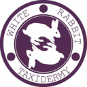 whiterabbittaxidermy-blog1 avatar