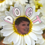 uselessanimephan-blog