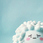 shotforthesky