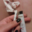 peoniesandswitchbades-blog
