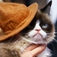 xgrumpycat