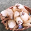 alw4yst1red-blog