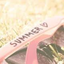 ch4sing-the-sunn