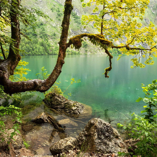 woodendreams:  Mitterkaseralm, Schönau am Königssee, Germany (by Mario Taferner) 