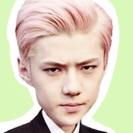 벚꽃