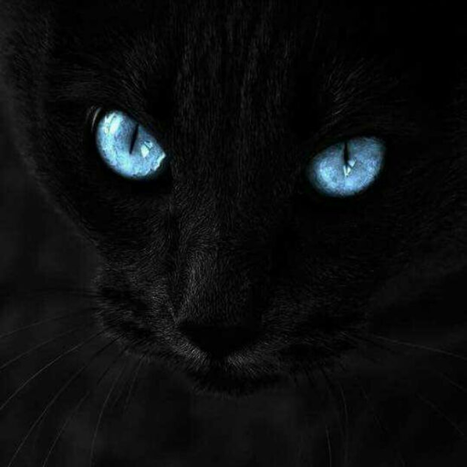otramasdelmonton:  Quieres cortarte, gritar o llorar. Pero no haces nada de eso y te mantienes acostado a oscuras en tu cama, en silencio a oscuras, enojado, triste, vacío, en soledad e impotente por ser quien eres.