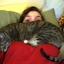 thestatehateskittens
