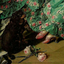 catherineorantoinette