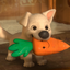 pupsibeahr