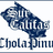CHOLAPINUP.COM LOOKING FOR SOLDADAS