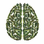 just-a-psyco-brain-blog