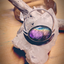 acolytejewelry