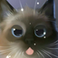 samy862-blog