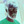 what song do i look like