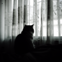unaware/desprevenido