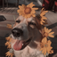 anarchyandwildflowers