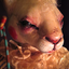 ladydarkbunny