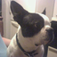 jeff111652-blog