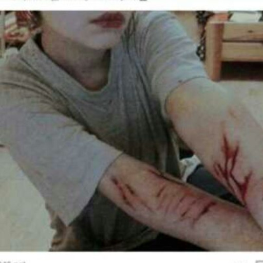 Lectora Suicida