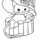 knitten-kitten avatar