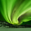 northernwildernes