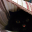 iloveverysinglecat
