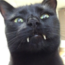 Você ta morrendo de sono > Você escova os dentes > Você perde o sono