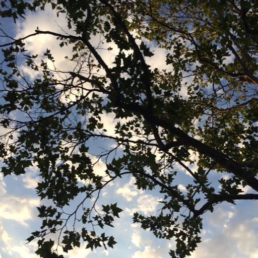 myunrequitedlovestory:  in the end, i just want you to be happy