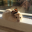 muttcracker