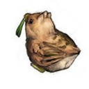 selenitesollis avatar