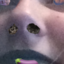 potatobitxh-blog