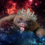 omgslothsinspace