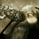viking-forest avatar